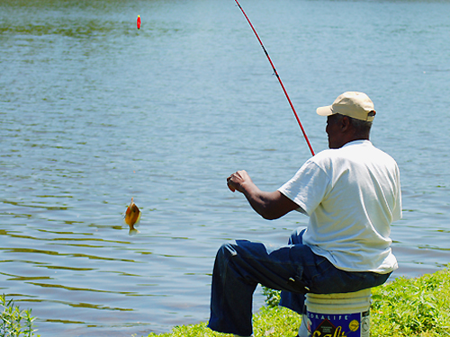 A fisherman hooks a 'small fry' at Grover's Mill Pond near Princeton Junction