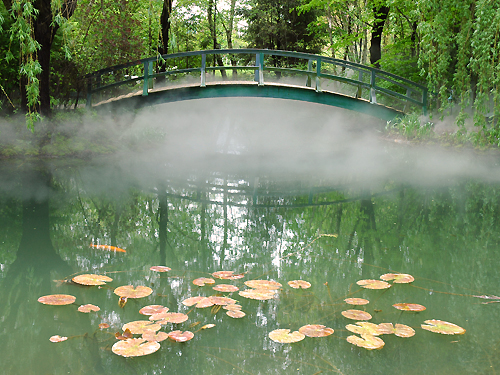 Mist surrounds an arched footbridge over the pond at the Grounds for Sculpture, Hamilton