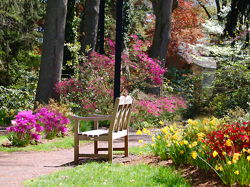 Plants and flowers in bloom at Sayen Gardens, Hamilton