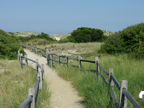 Nature walk, Island Beach State Park, NJ