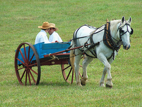 Battle of Monmouth reenactment, Freehold, NJ