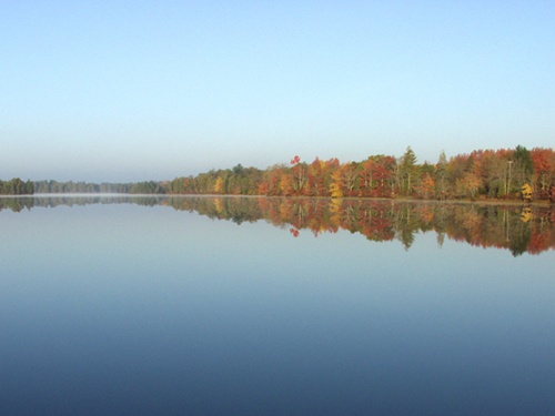 Batsto Lake in Wharton State Forest, Atlantic County