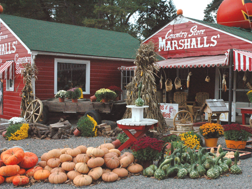 Marshalls' Country Store along Route 46 in Warren County