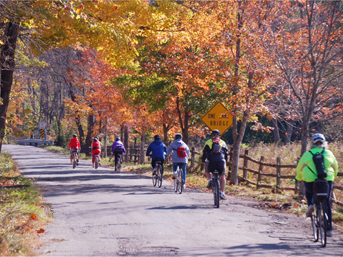 Bike riders enjoying a beautiful autumn day, Hunterdon County
