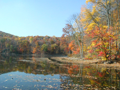 The colors of fall at Jenny Jump State Forest, Warren County
