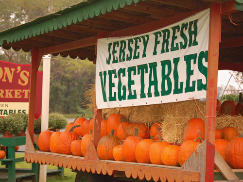 Jersey Fresh farm stand near Vincentown