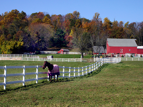 Horse farm near Califon, Hunterdon County