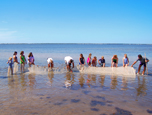 Island Beach State Park