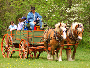 Washington's Crossing State Park