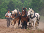 Howell Living History Farm