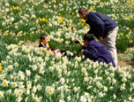 Reeves-Reed Arboretum