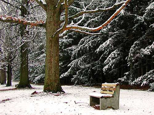 A bench dusted with snow at Washington's Crossing State Park, Mercer County