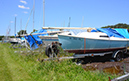 spruce_run_015