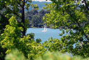 spruce_run_007