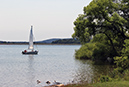 spruce_run_036