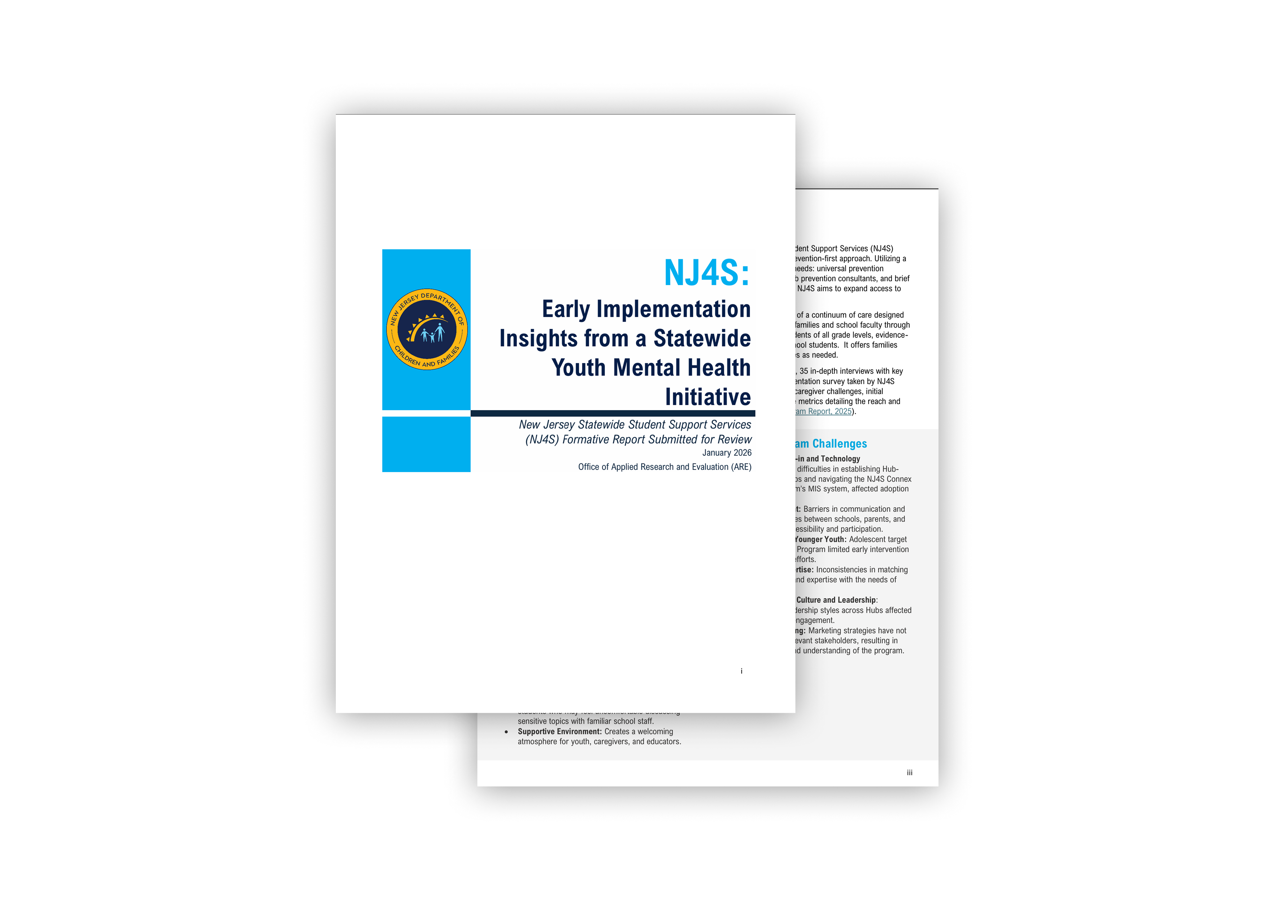 NJ4S Early Implementation Insights Report