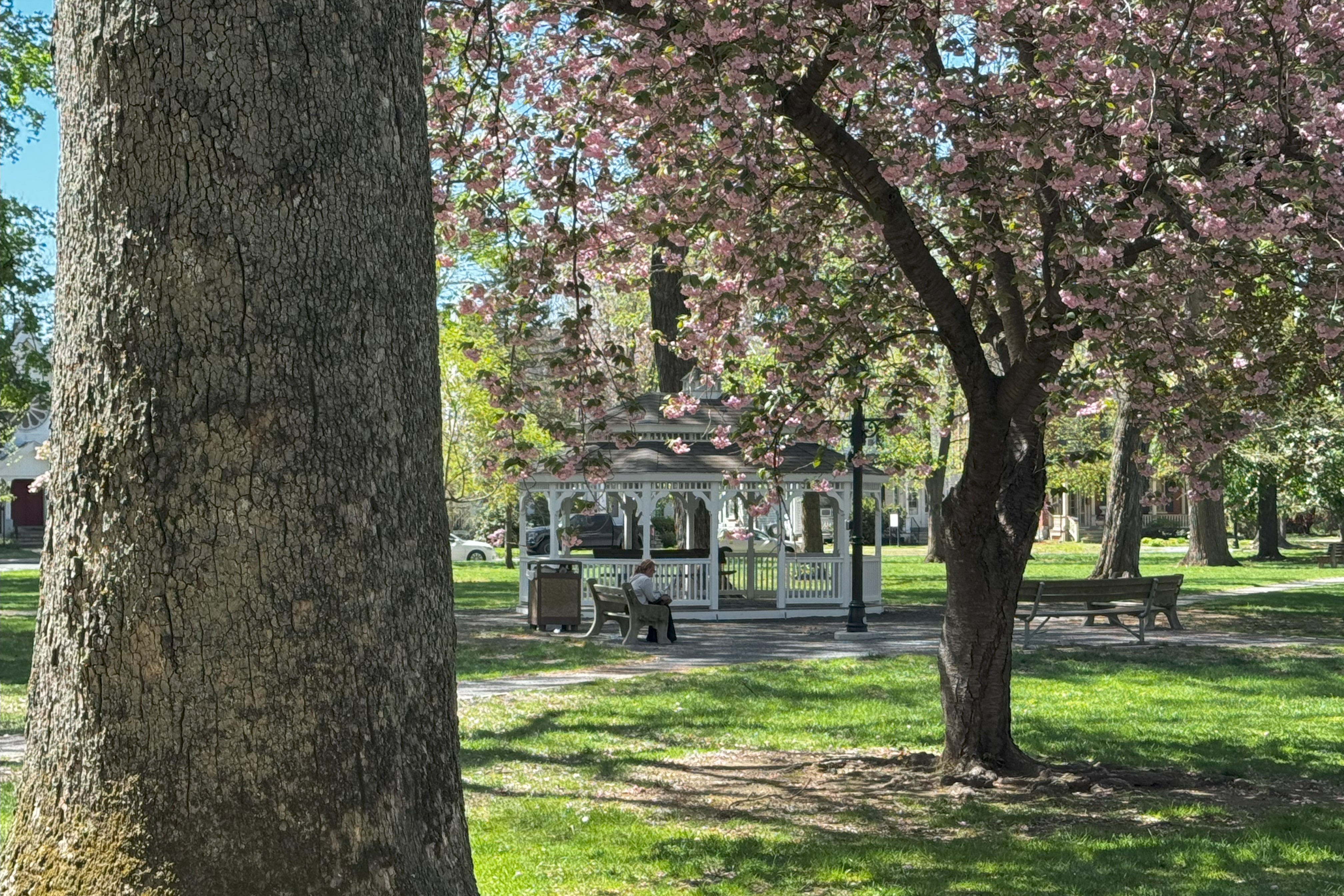 park with gazebo