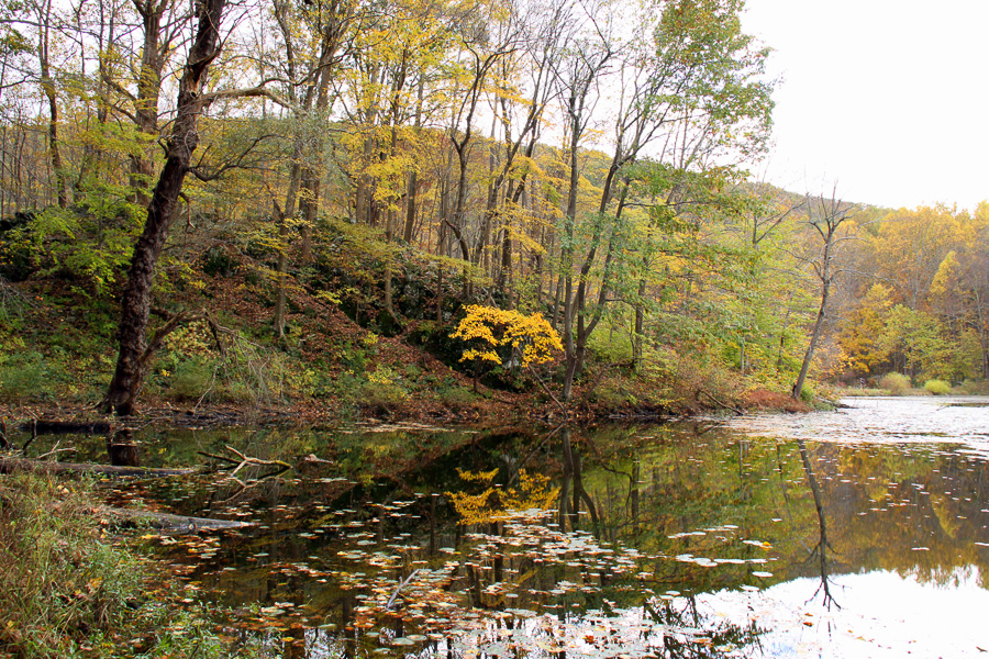 Independence Township