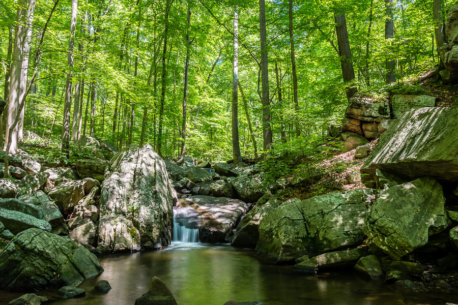 Mendham Township