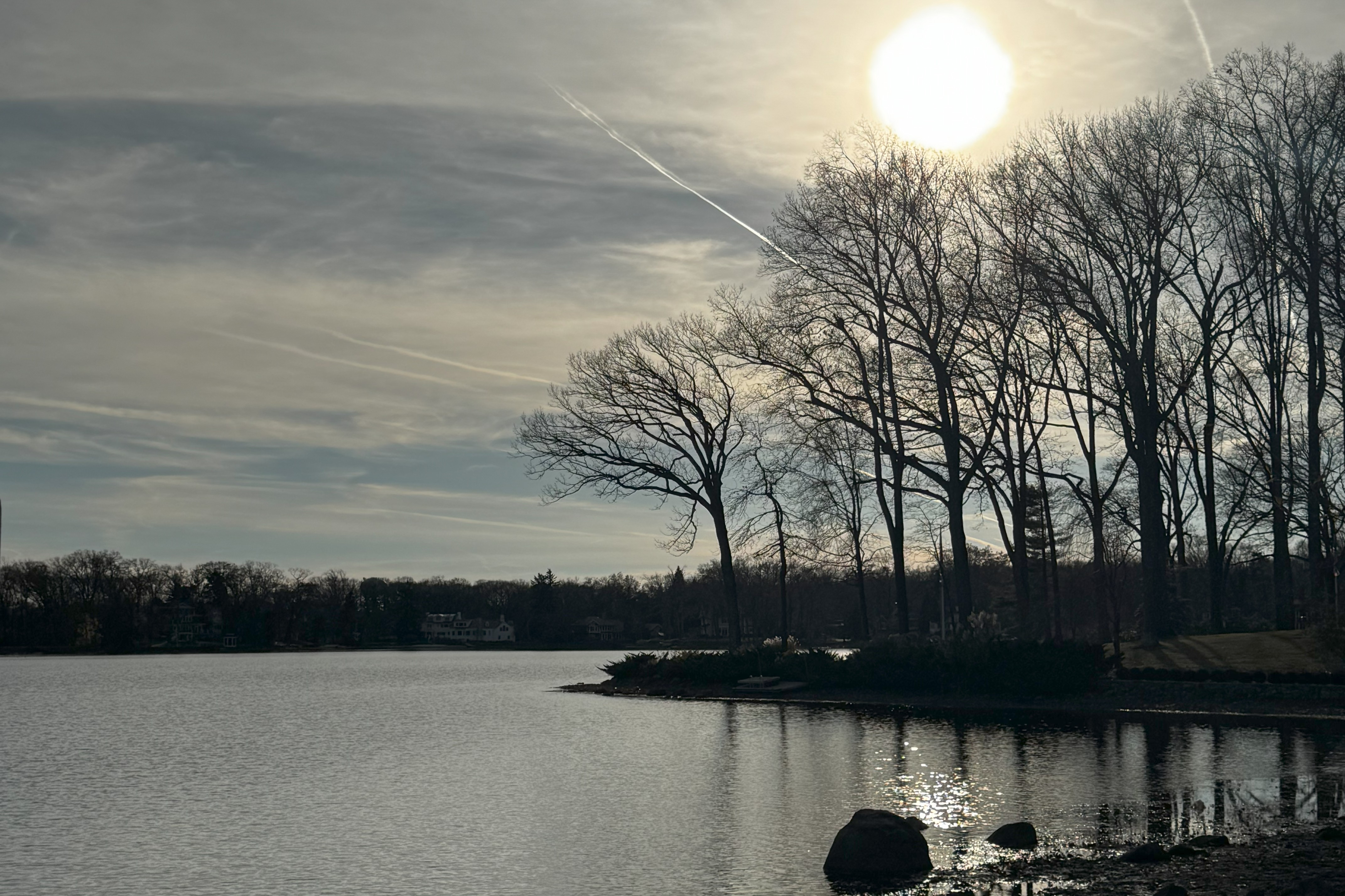lake with trees on shoreline