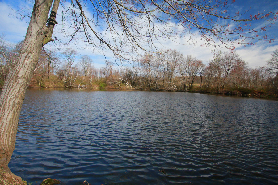 Roxbury Township