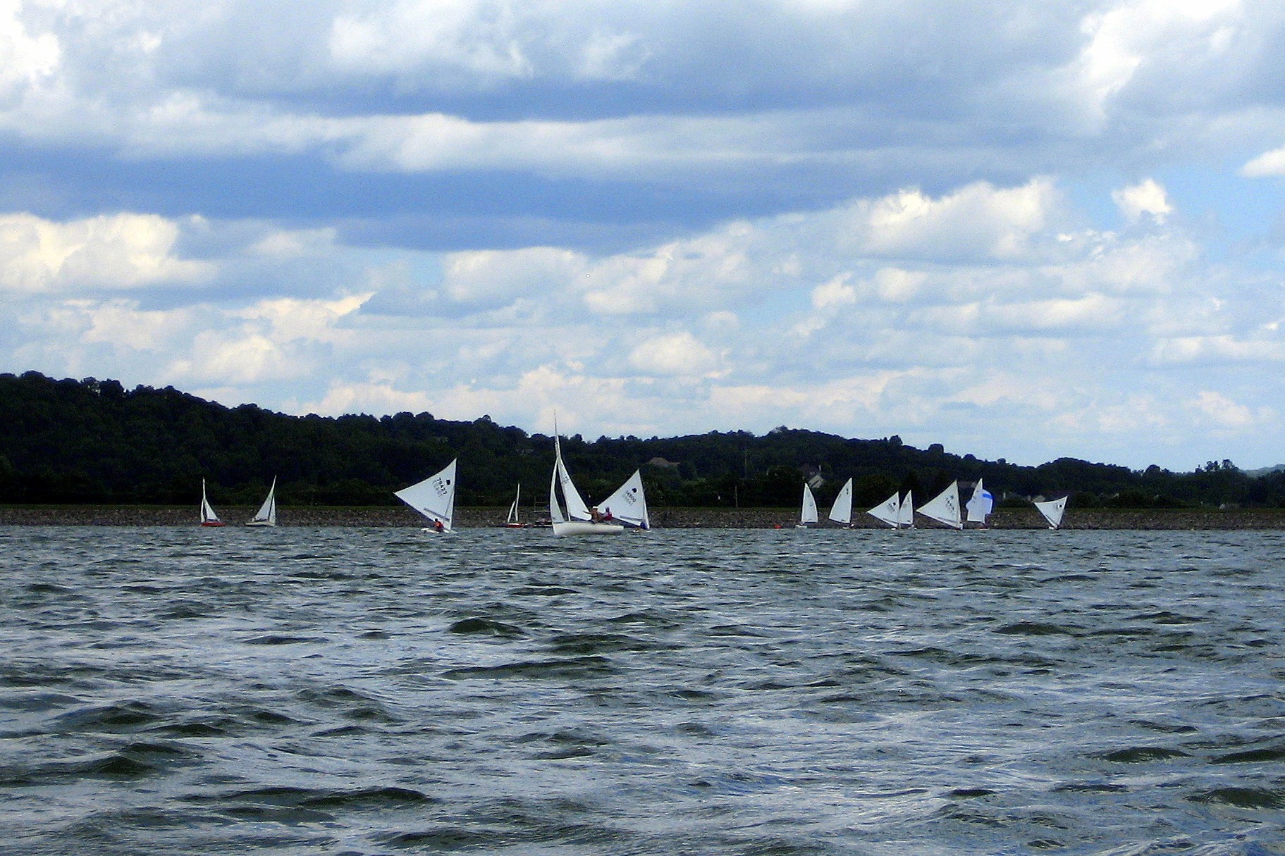 sailboats