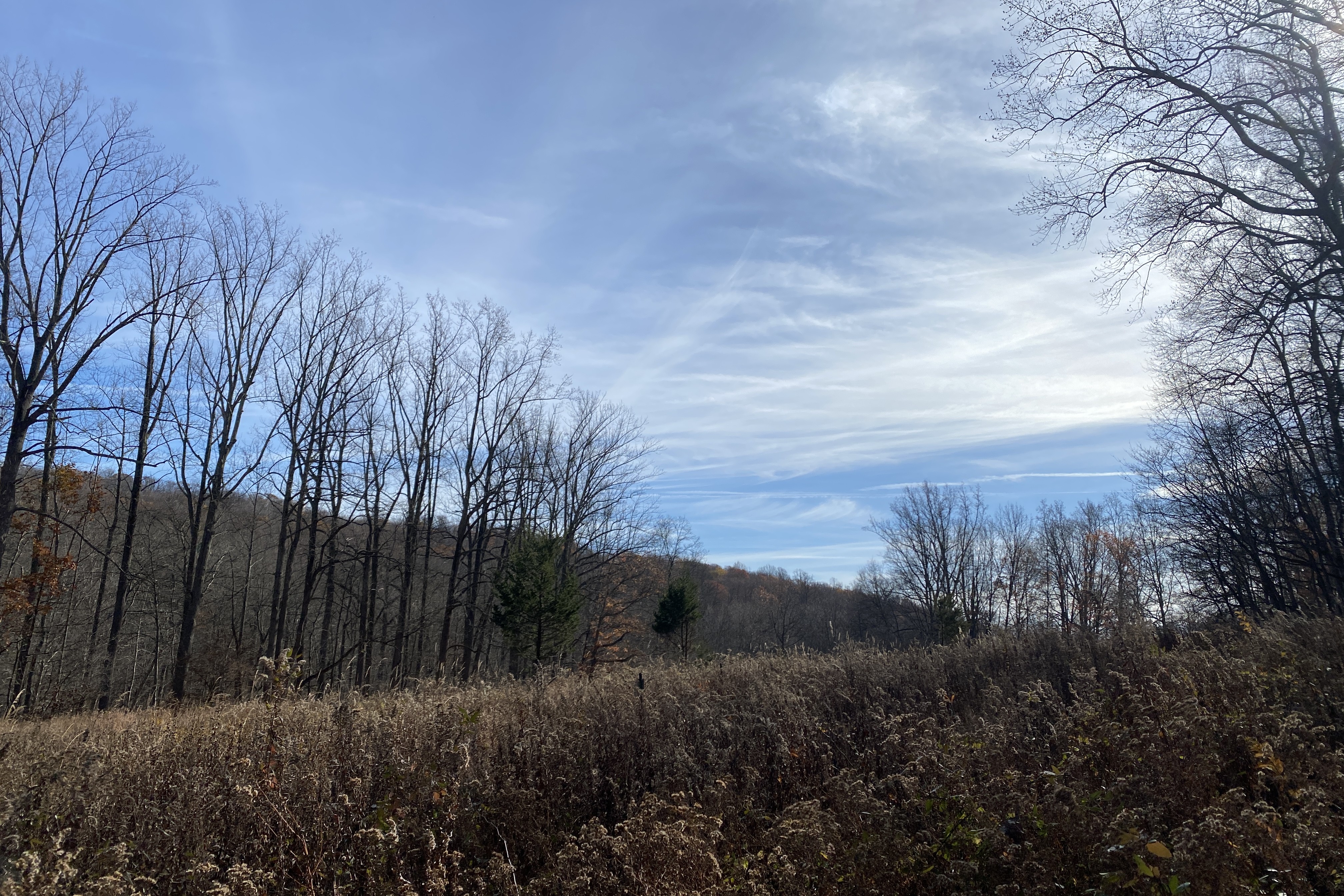 wildlife sanctuary