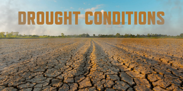 A graphic card that reads "drought condtions"