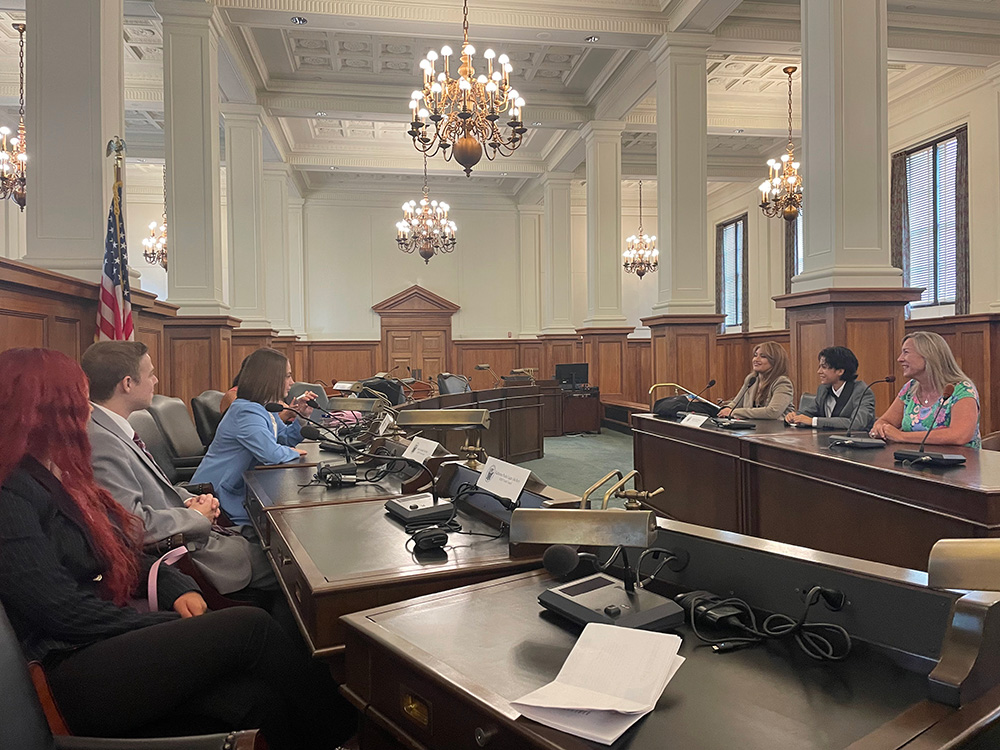NJYRS members speaking to representatives at the state house