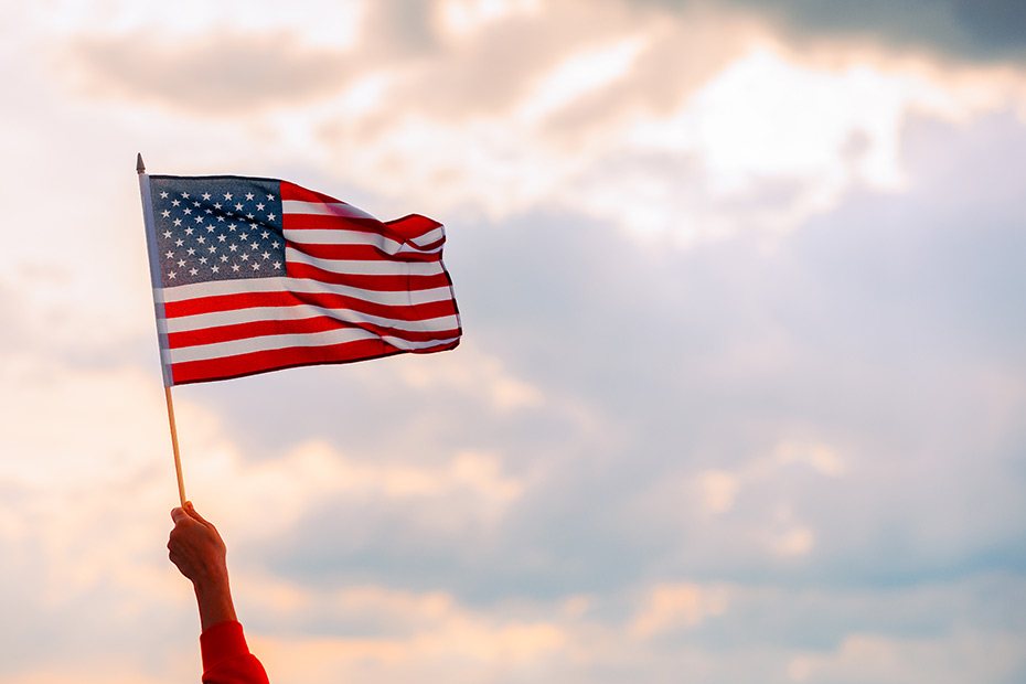 a hand holding a small american flag