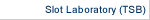 Slot Laboratory (TSB)