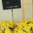 Southern RCH Flower Show picture