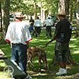Manor Woods at the Annual Greyhound Picnic picture