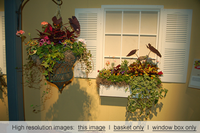 2010 Philadelphia Flower Show