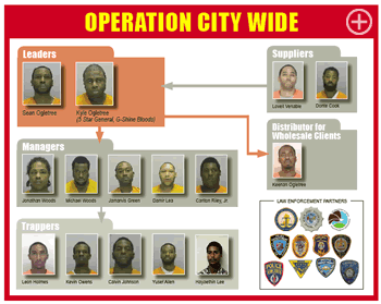 Operation City Wide Chart