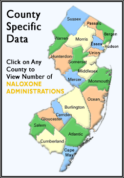 New Jersey County Map