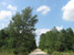 Carranza Road (Photo by Joel Mott)