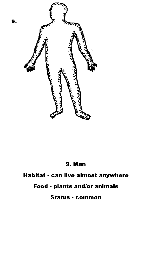 man