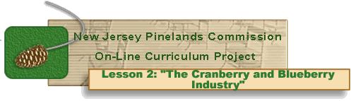 Lesson 2 The Cranberry and Blueberry Industry