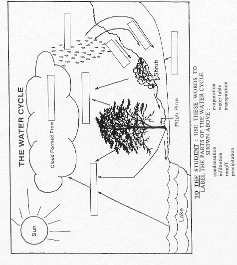 water-cycle-worksheet