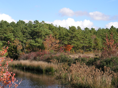 Franklin Parker Preserve