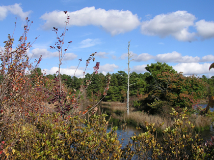 Franklin Parker Preserve