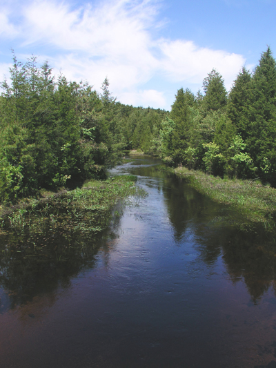 Cedar Creek in Double Trouble State Park