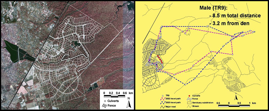 New Jersey Pinelands Commission | Rattlesnake Study