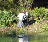 Photo of the Event 4