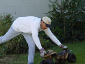 Photo of the Event 11