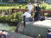 Photo of the Event 12