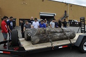 High Tech High School Tree Donation