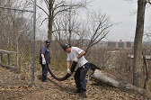 Photo of the Event 4