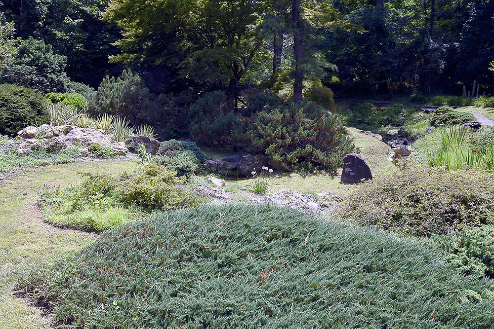 Tour of Laurelwood Arboretum